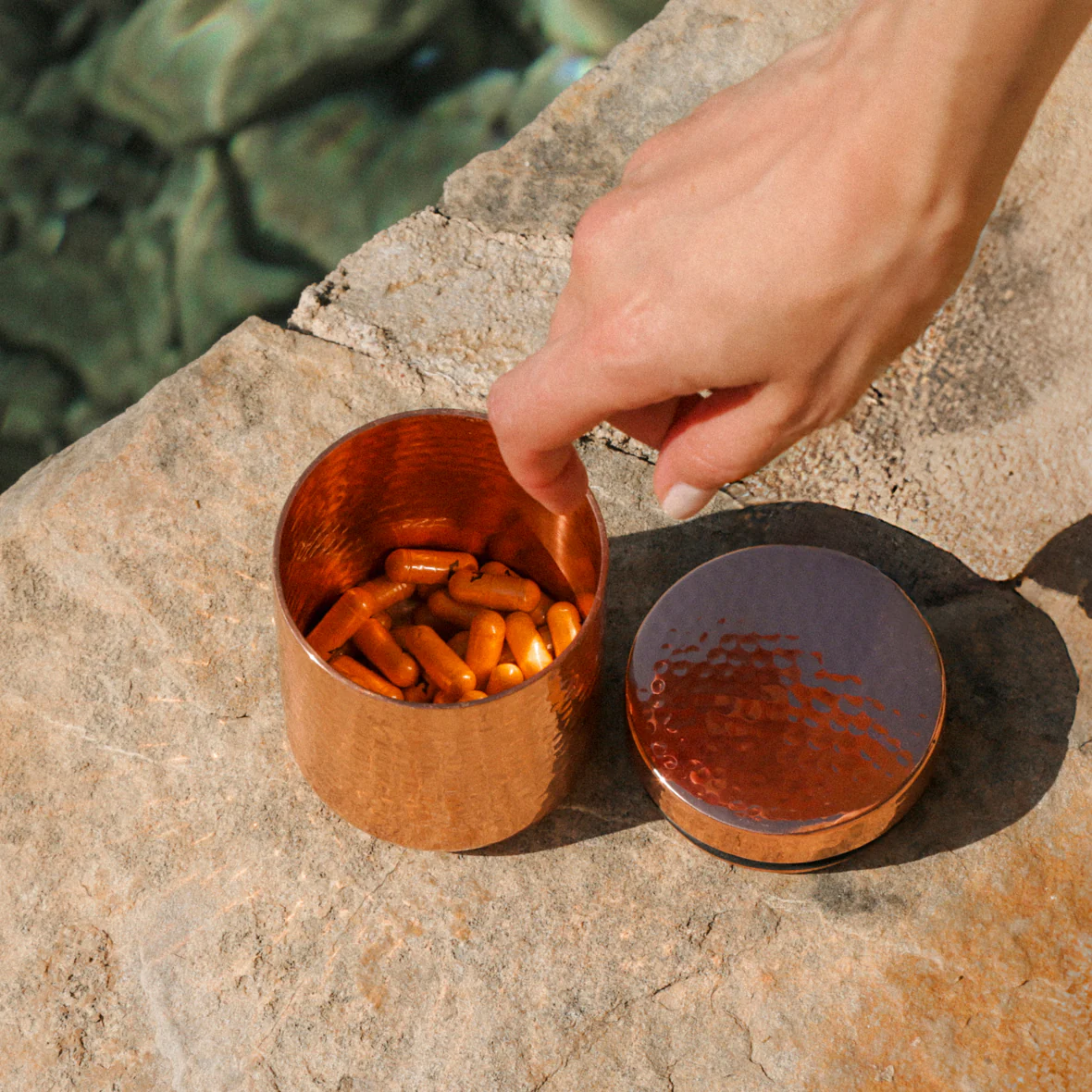 LYMA Supplement - Image 11
